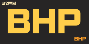 BHP 백서