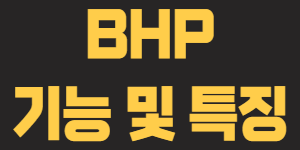 BHP 기능 및 특징